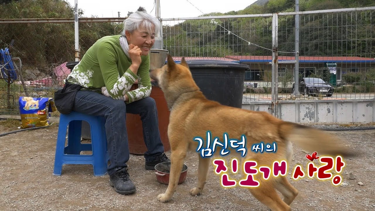 진도개는 내 남편! 그녀의 인연 [전국시대]