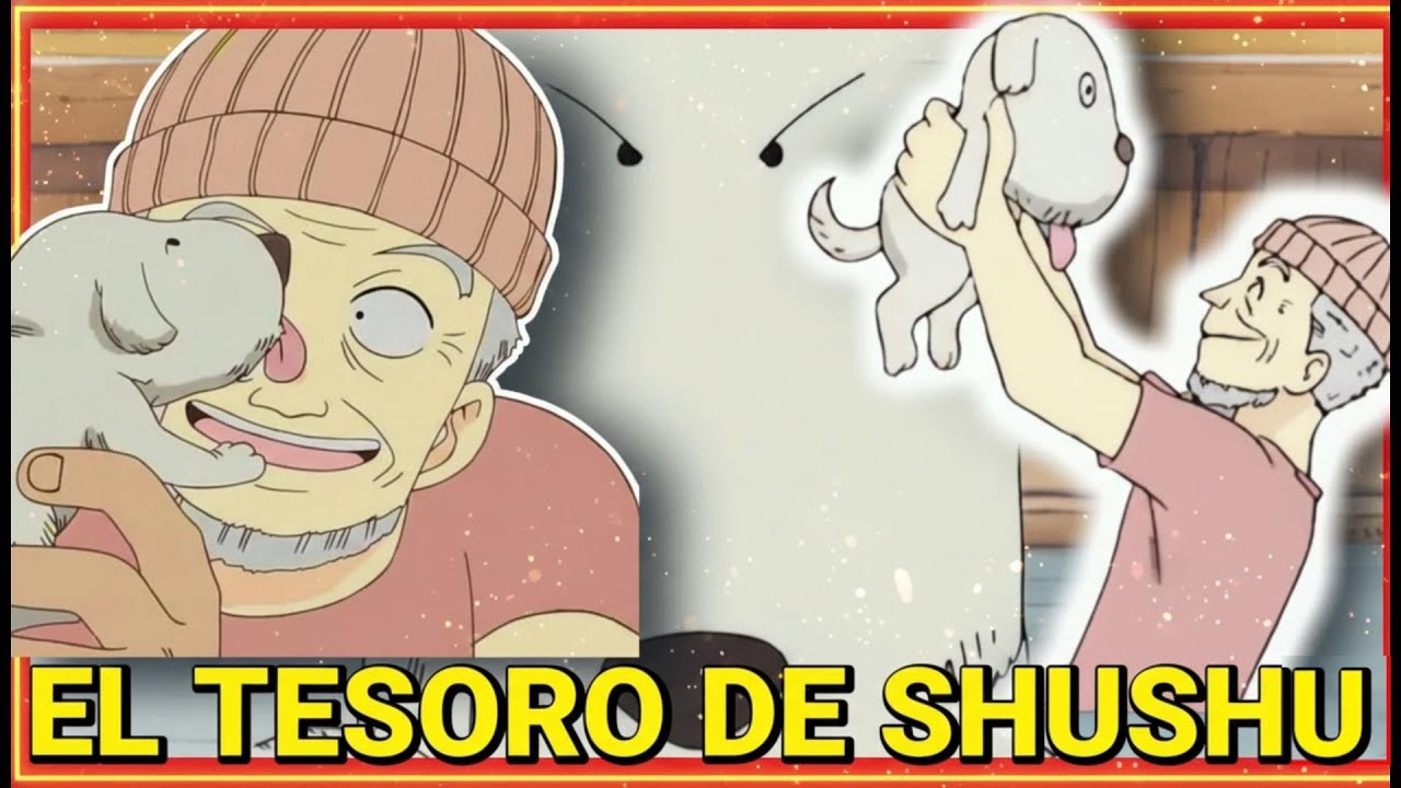 HISTORIA DE UN PERRO Y SU TIENDA - ONE PIECE