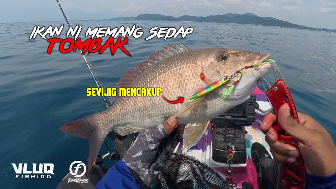 Antara Ikan yang PALING SEDAP untuk DIBAKAR!! | Kayak Fishing Malaysia -  #VLUQ548
