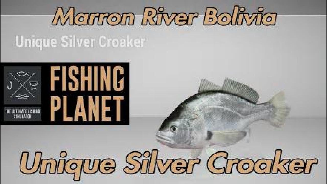 Unique Silver Croaker - Marron River Bolivia - Fishing Planet