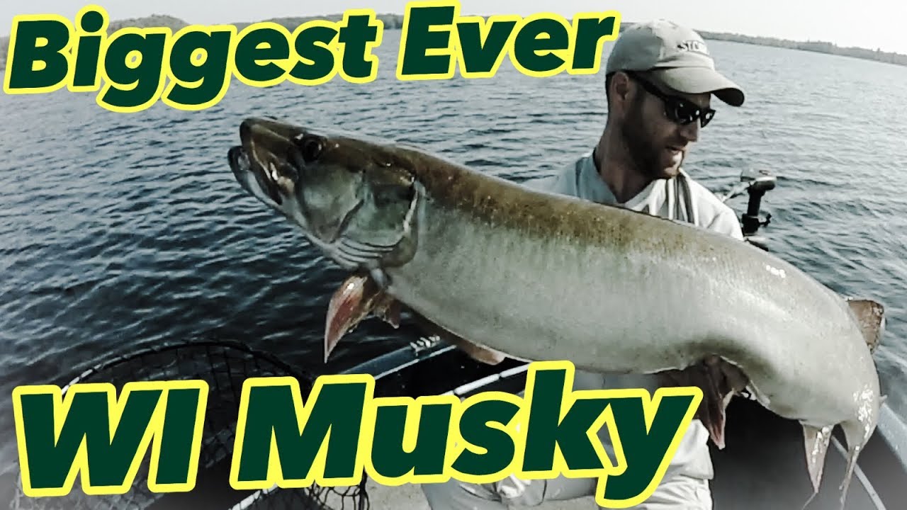 My Biggest Wisconsin Musky of All Time!