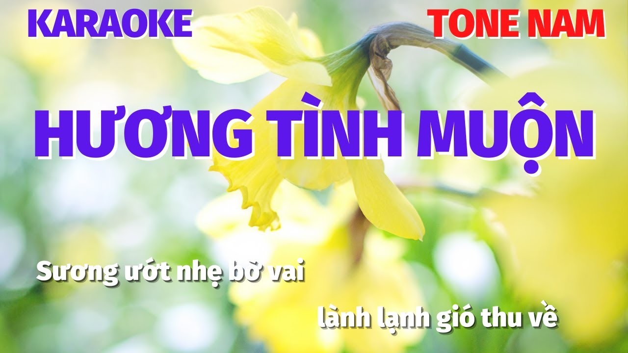 Karaoke HƯƠNG TÌNH MUỘN - Nhạc Sống Tone Nam | Nguyen Hien Karaoke