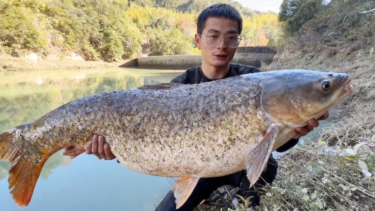 探钓水库垂钓巨物！跟随粉丝大哥来到水库，钓到百斤大板鲫，粉丝大哥说我运气太好了！【小宋野钓】