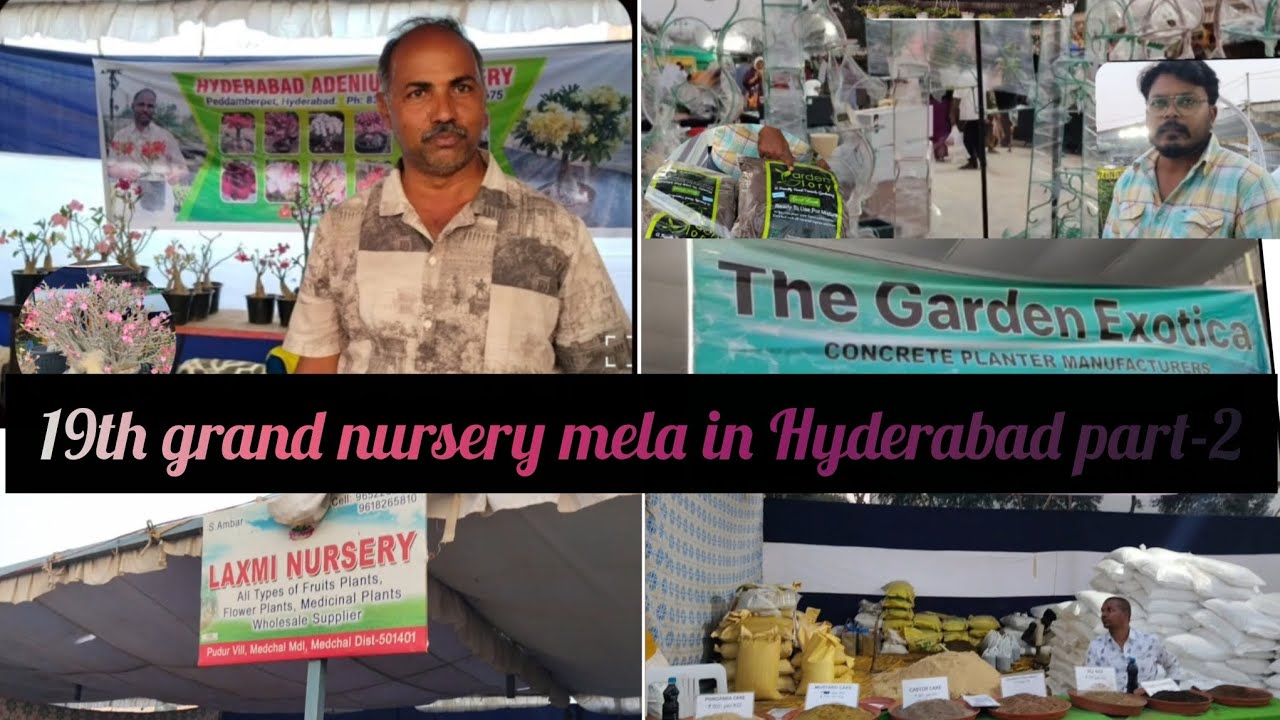 19th Grand Nursery Mela in Hyderabad part 2🎪 |  Nursery mela in Hyderabad 2026🌿 | #noedplantlover🦋✨