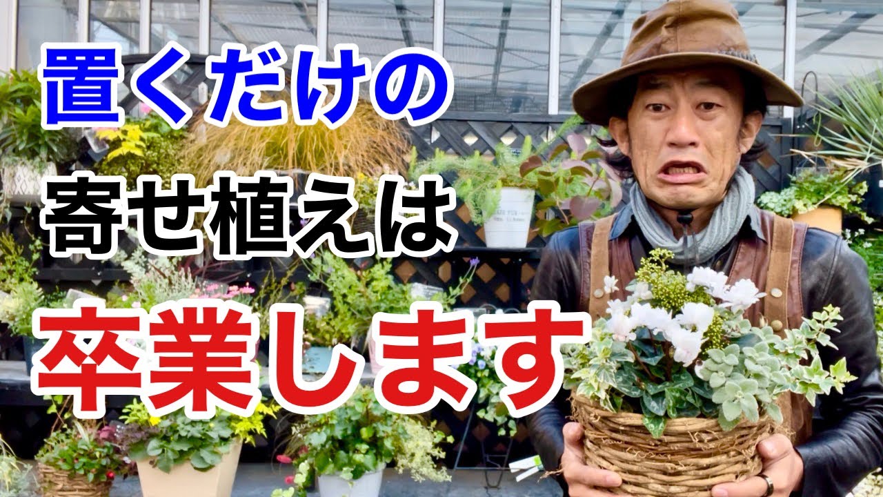 寄せ植えを吊って楽しむハンギングの方法教えます　　　【カーメン君】【園芸】【ガーデニング】【初心者】flowers in containers　hanging flower basket
