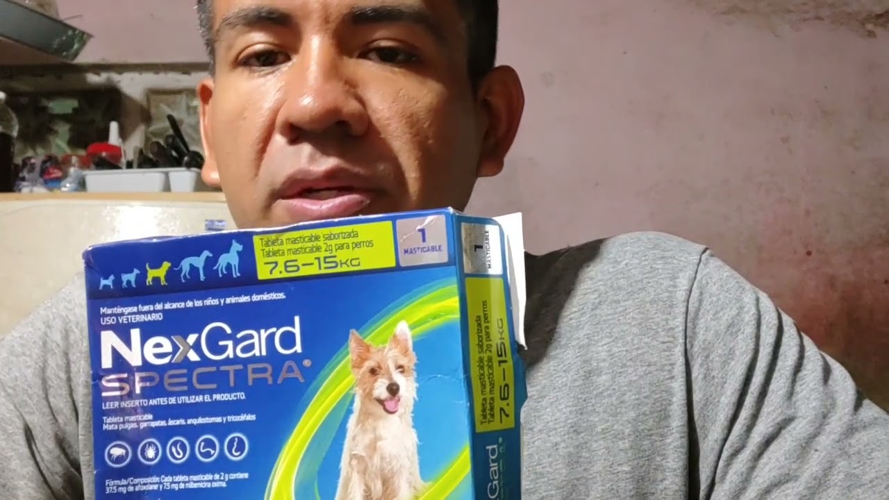 nexgard spectra no más garrapatas y pulgas para tu perro
