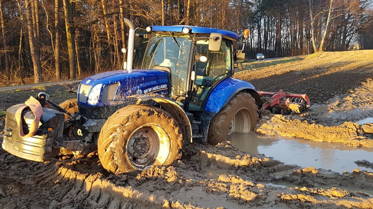 365 DNI W GRW SOSNA 🥕