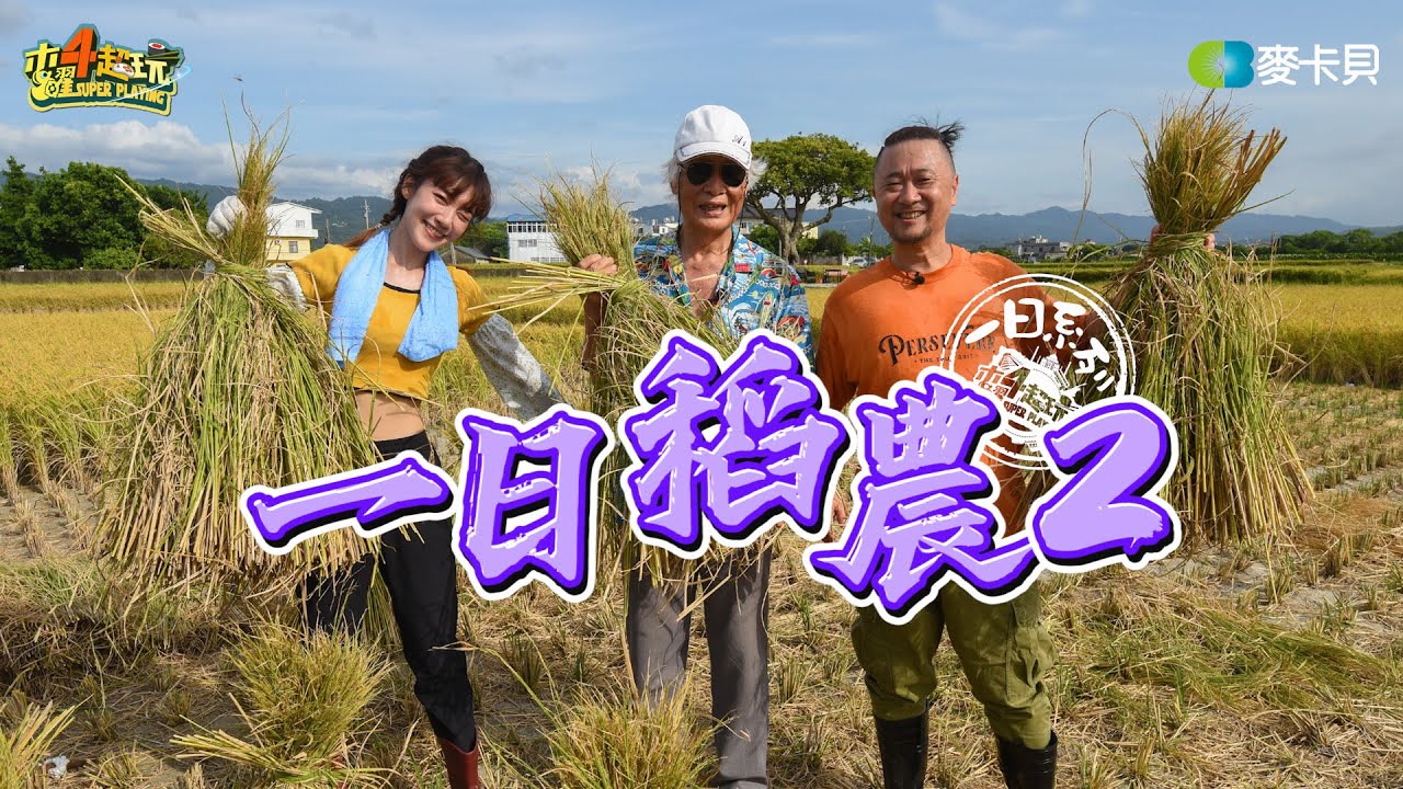 《一日系列SP》邰邰再次帶上泱泱下鄉務農？！ 自己的飯自己種！！ - 一日稻農2