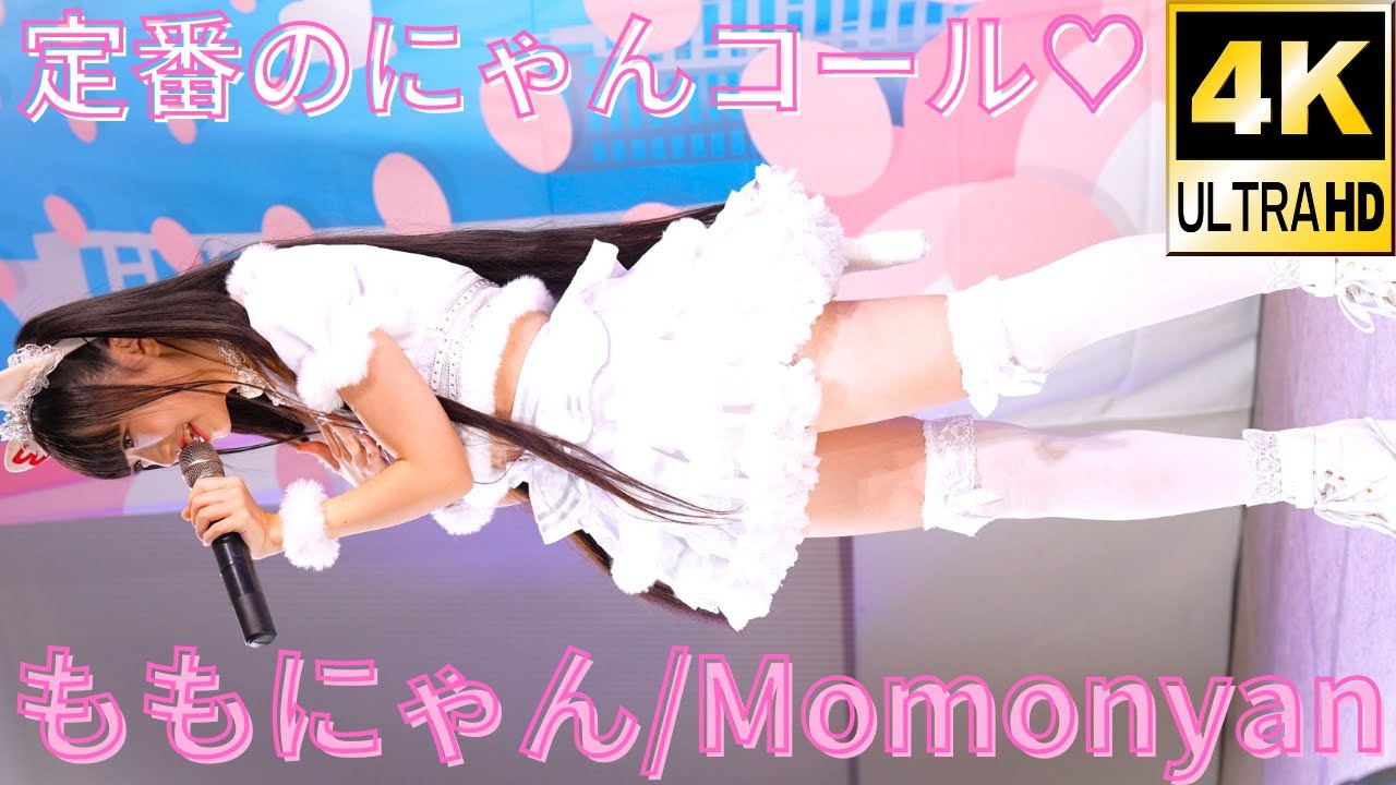 にゃんコール♡【4K/60p】ももにゃん（Japanese idol singer Momonyan）アイゲキ「ももにゃん定期公演～にゃんこタウンTOKYO～」2023年11月19日（日）
