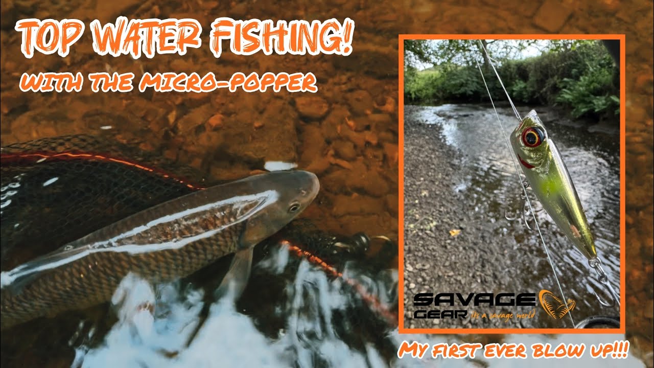 TOP WATER FISHING! With the Savage Gear Micro-Popper!