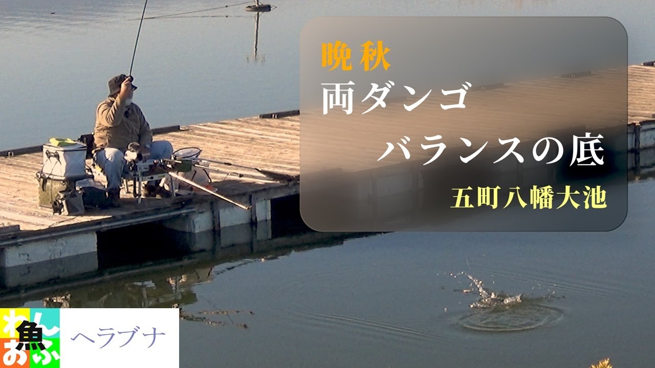 晩秋のヘラブナ釣り　五町八幡大池で両ダンゴの底釣りで攻略【ヘラブナ釣り】岐阜県海津市　五町八幡大池 ■ Japanese herabuna fishing autumn 2022