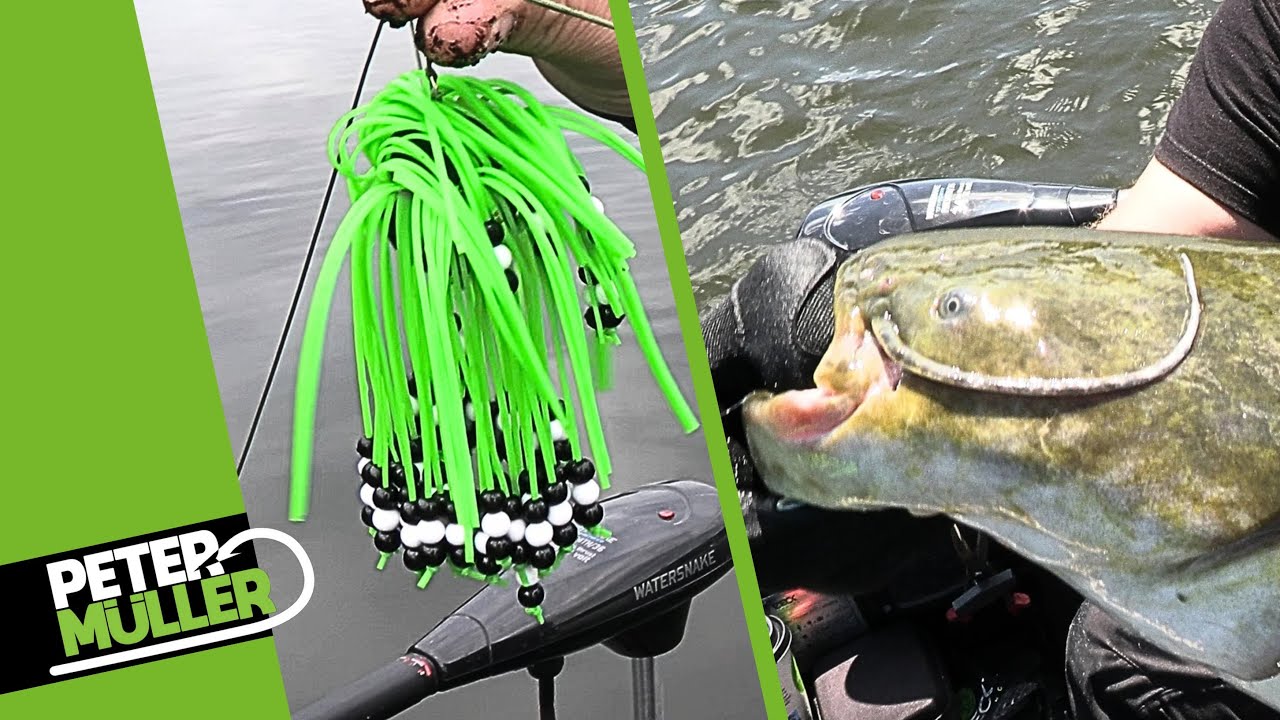 Klopfen auf Wels - Fangrausch mit dem Rattle Teaser  - #fishing #angeln