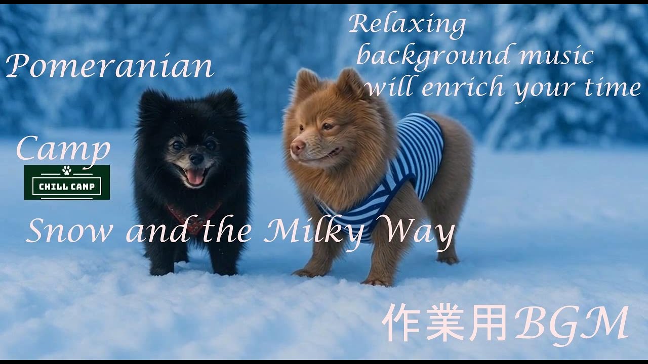 【CHILL CAMP BGM 121】癒しBGM - 作業用BGM - 勉強用BGM - しっとりBGM - 可愛い - ポメラニアン - 雪の森
