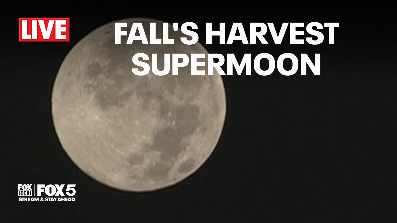 LOOK UP! It's Fall's Harvest Supermoon | FOX 5 DC