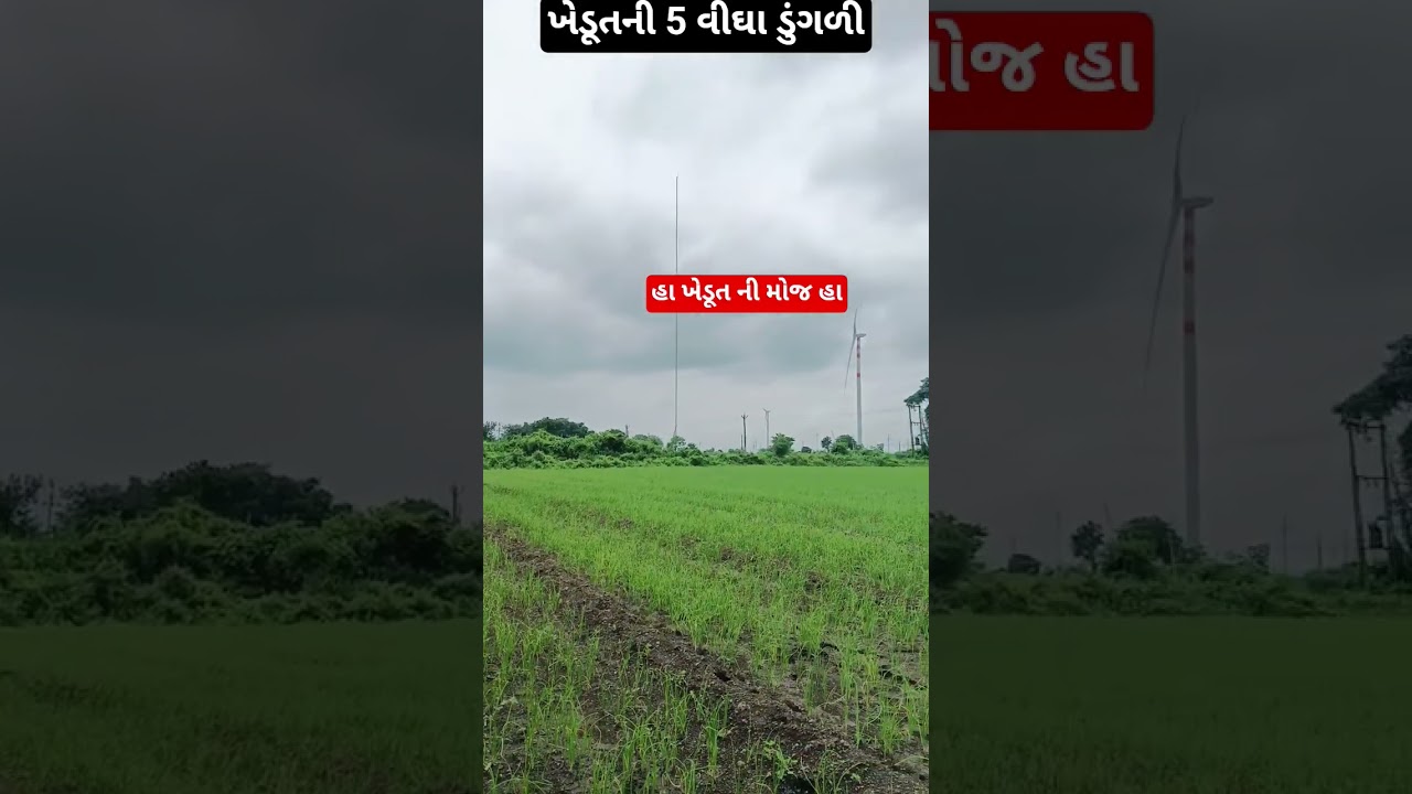 આ હું છે ? #farming #gamadu #ખેડૂત