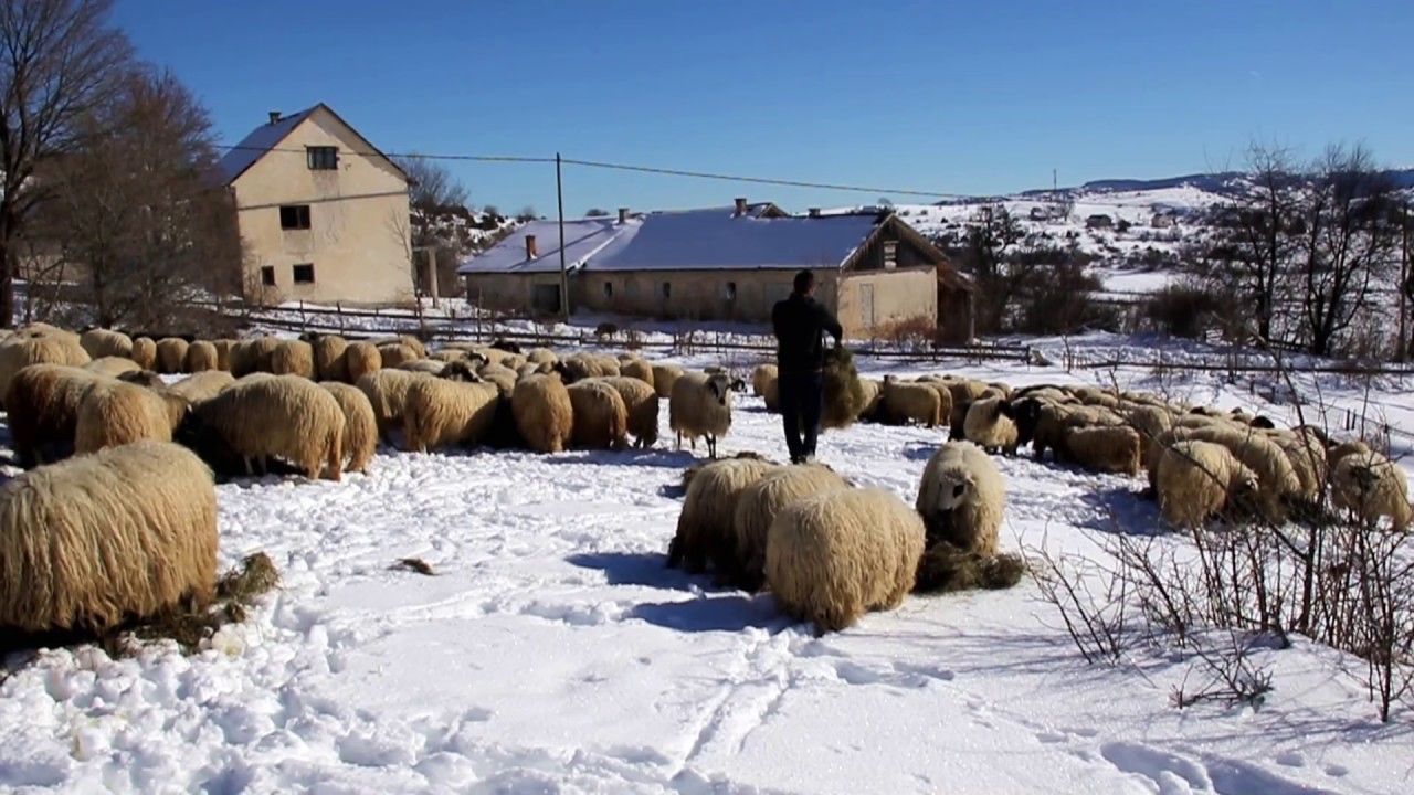 Zahum - zimska idila
