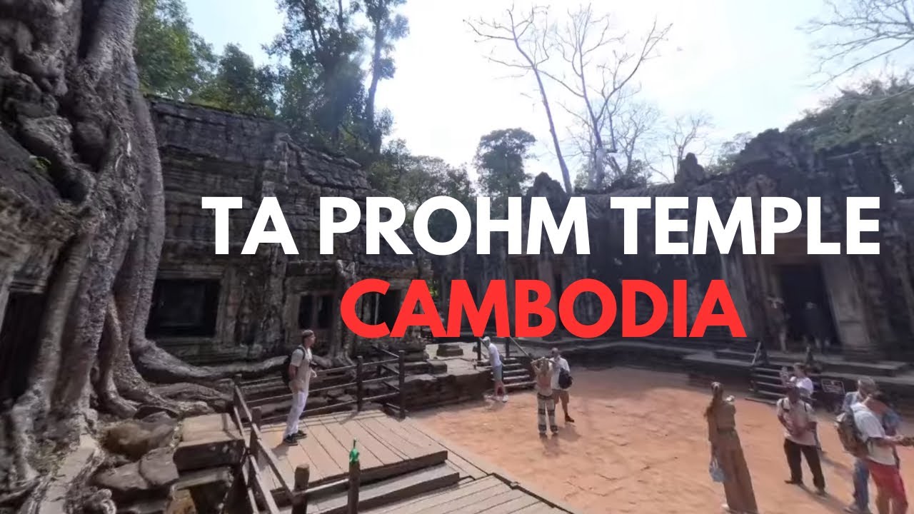 Cambodia 360° –  Ta Prohm Temple Walkthrough in 3D | 4K HD 2026