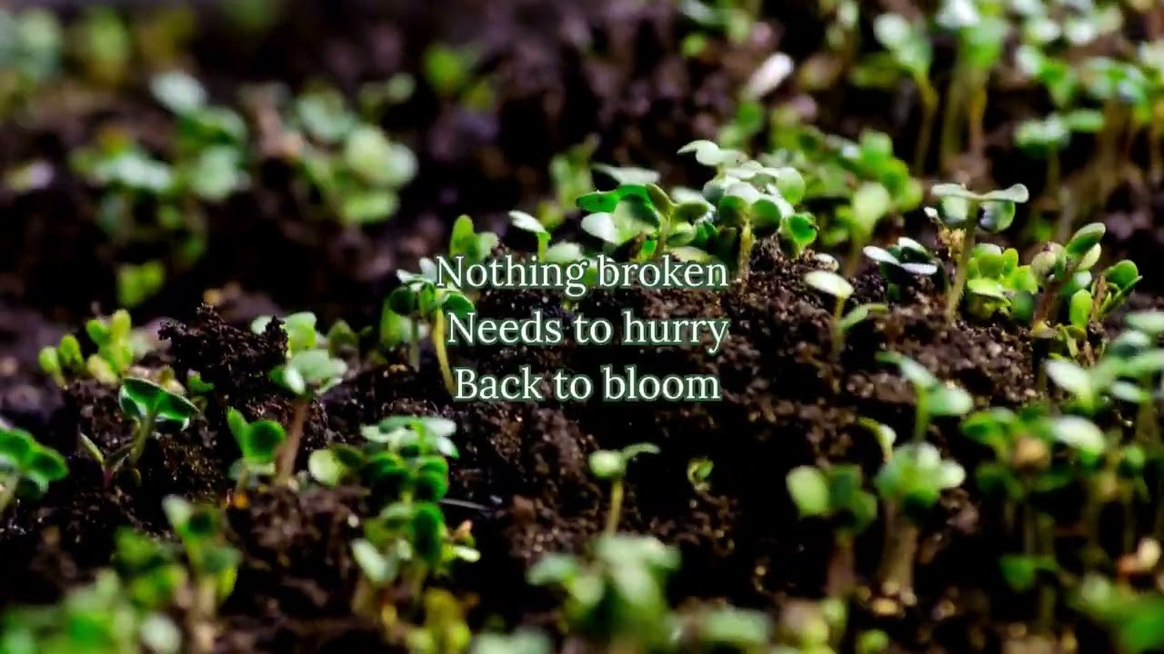 🌱 Ambient Music for Reawakening After Burnout | Inner Green Shoots Healing Music