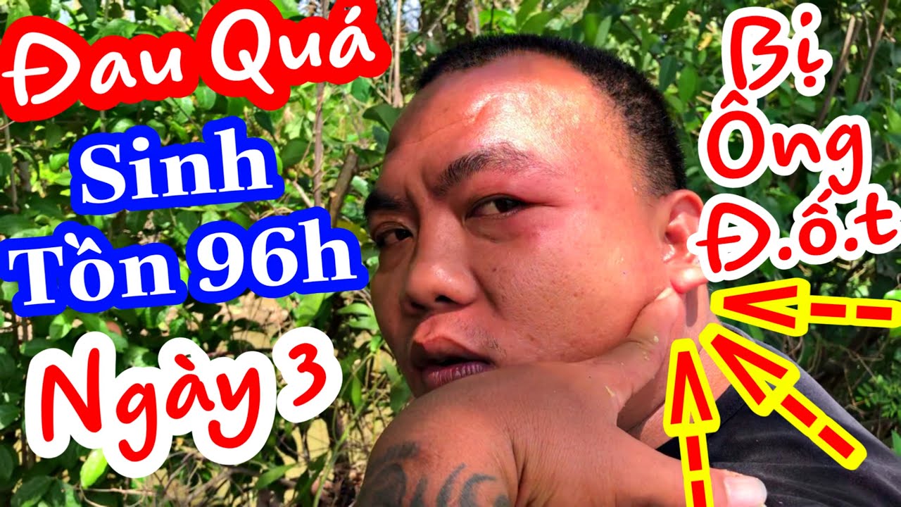 TXTV - Thánh Xàm Bệnh Phát Sốt Khi Bị Ong Đ.ốt Trong Lúc Đi Săn | Sinh Tồn Ngày 3