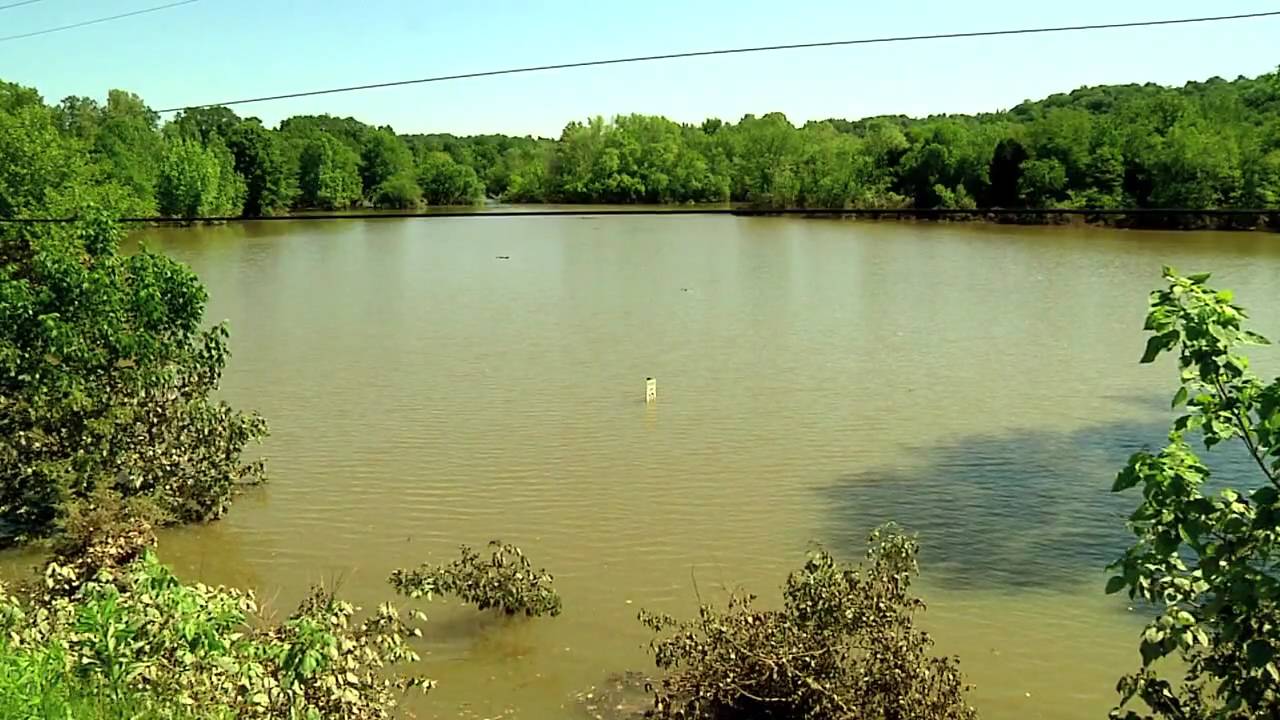 Flood Impact