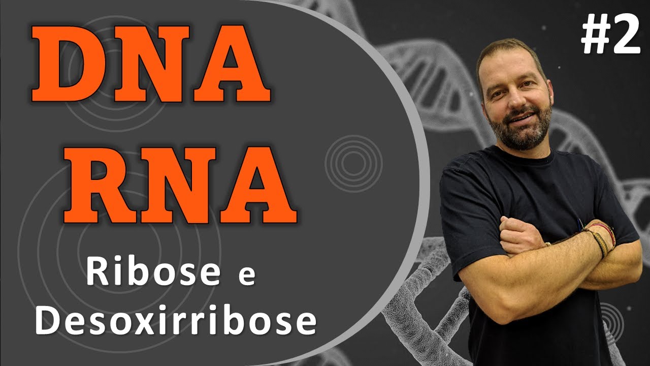 DNA e RNA - &Aacute;cidos Nucleicos - Diferen&ccedil;a entre Ribose e Desoxirribose