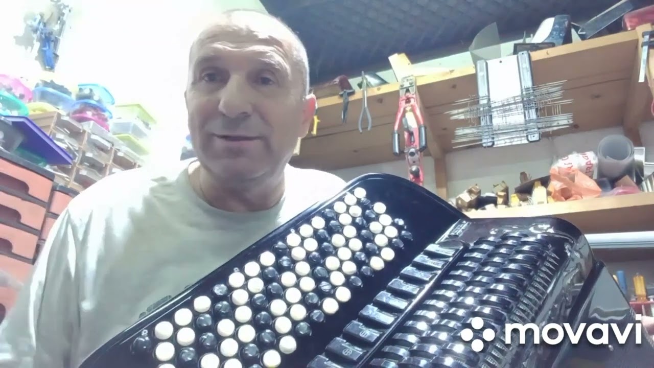Servis harmonika Dane Loznica +38164 420 5721