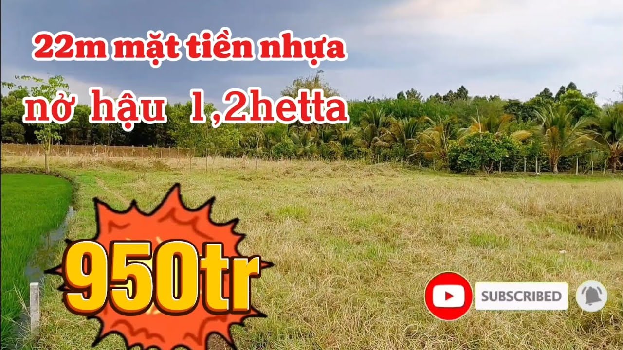 Đất vườn, có ao nuôi cá giá quá rẻ