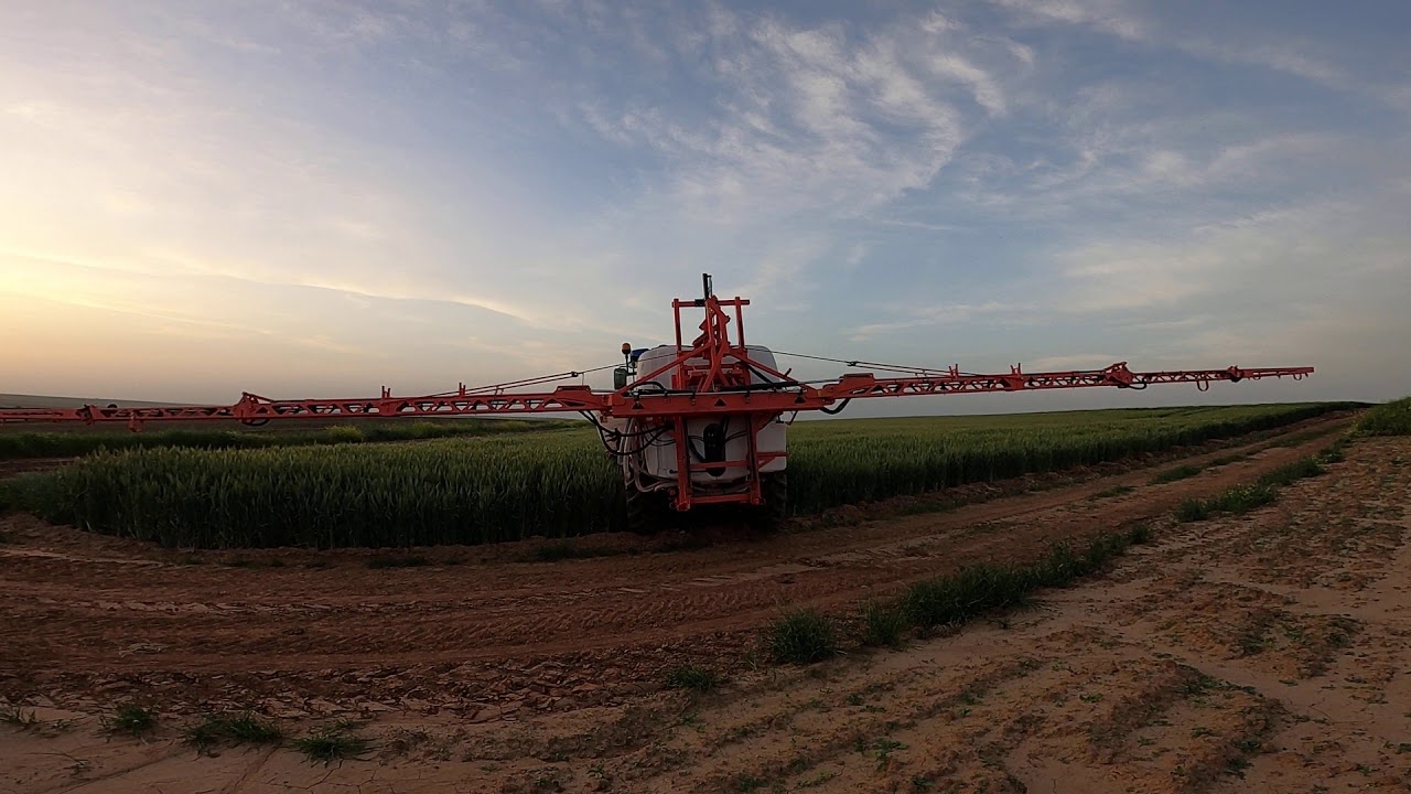 GASPARDO SAURO PAS VE SÜNE İLAÇLAMASI