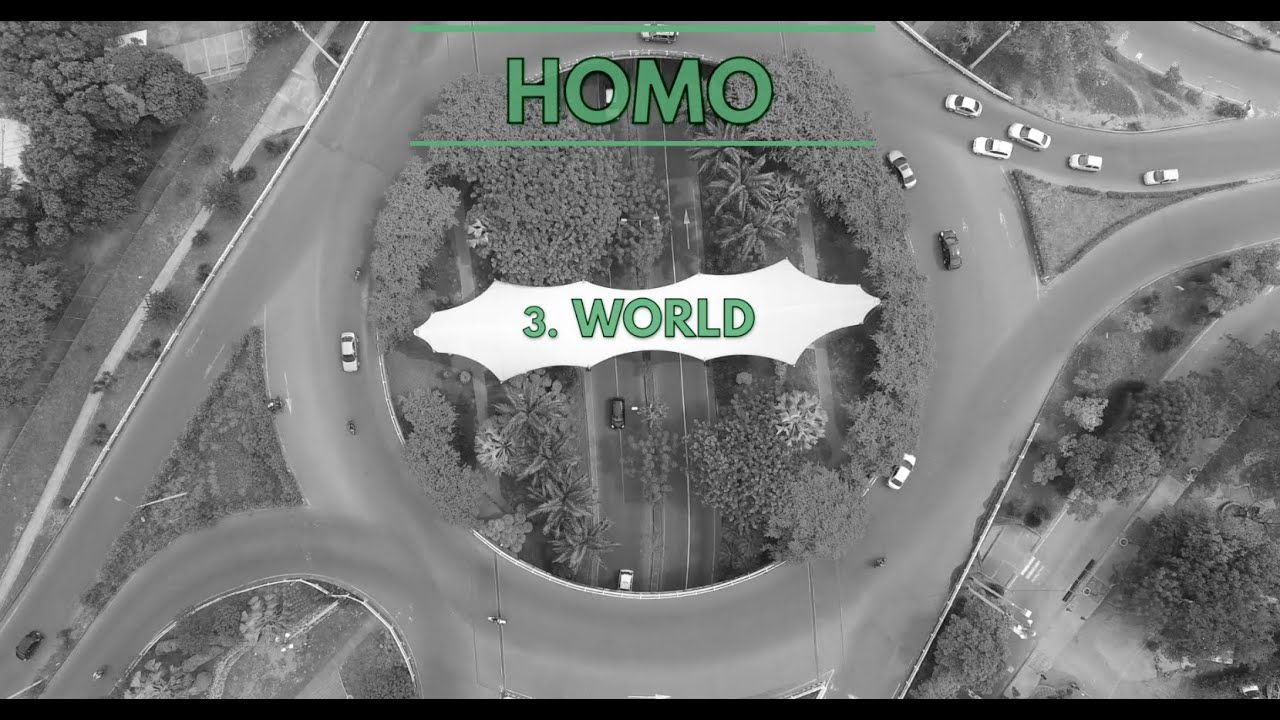 HOMO. 3: WORLD. Pedro Cortejosa
