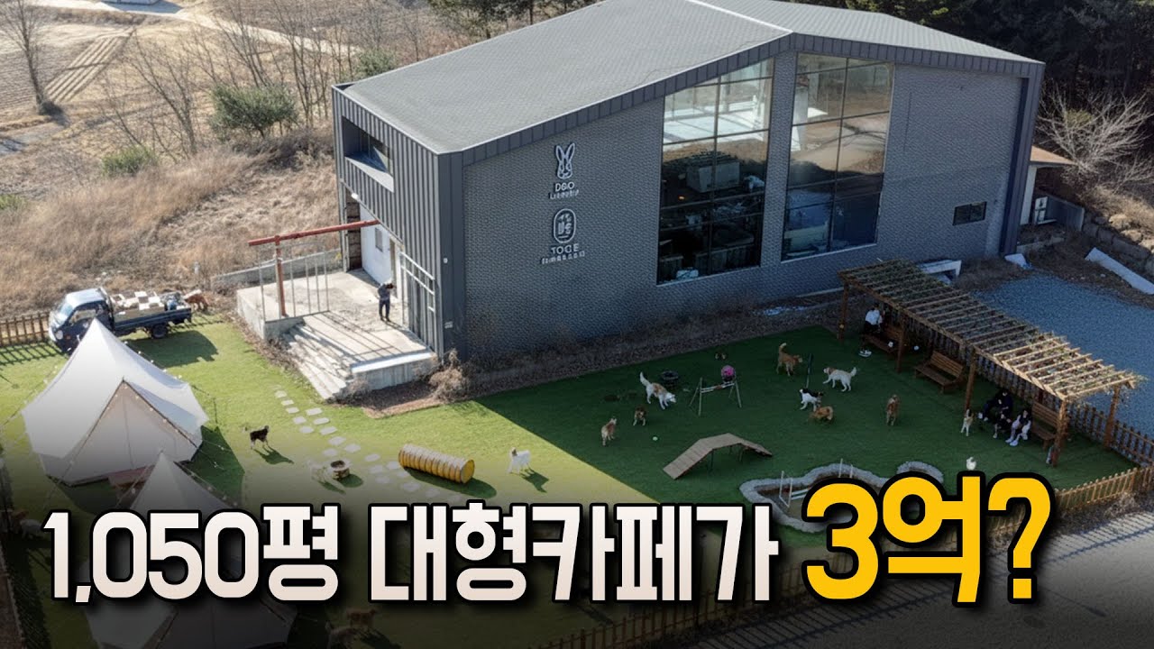 1,050평 대형 카페가 3억으로 시작 가능한 유일한 방법 [대형카페 창업, 연수원, 풀빌라 창업]
