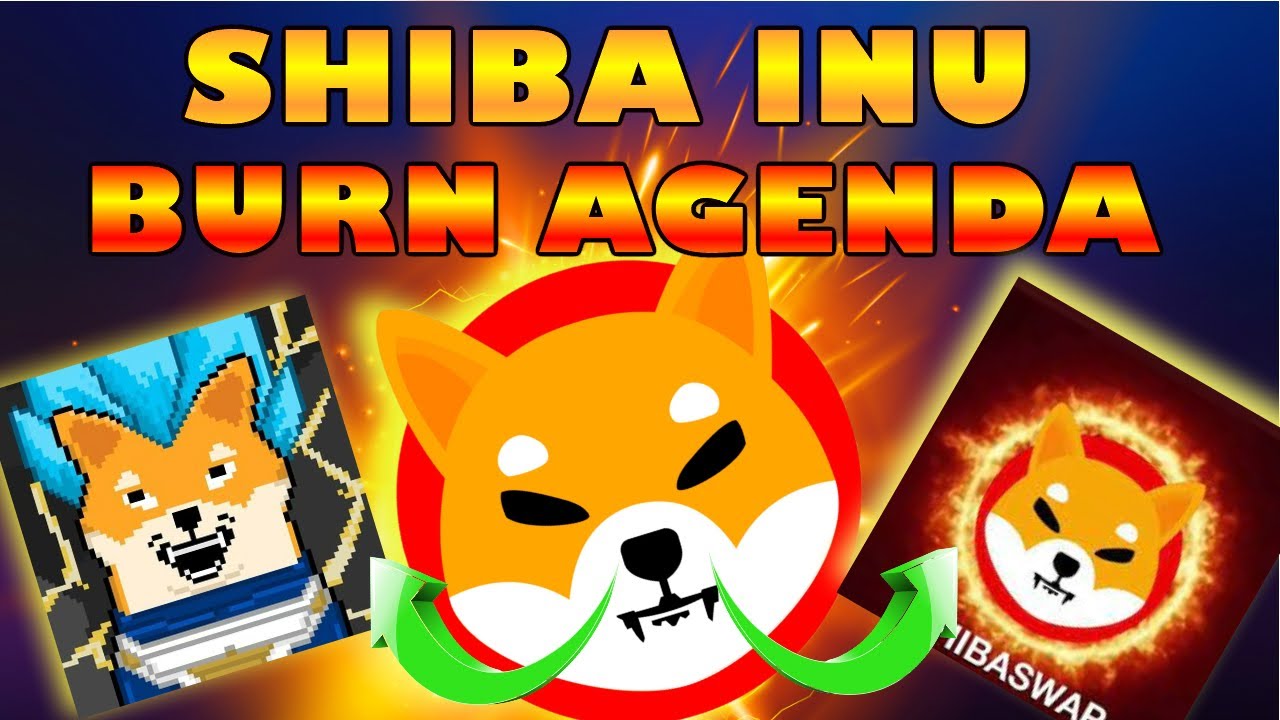 EXPOSING Shiba Inu's 100 Trillion Token BURN PLAN & Why Circulating Supply Has Not Changed