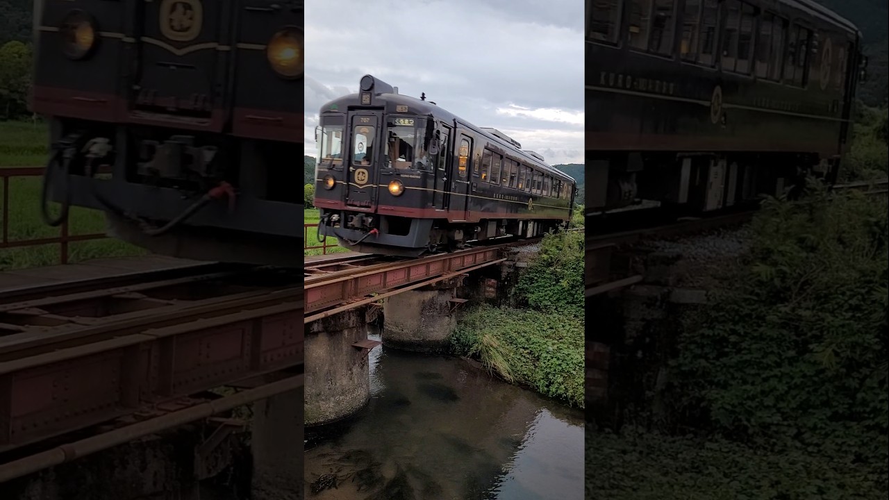 🚃 Japanese local train 