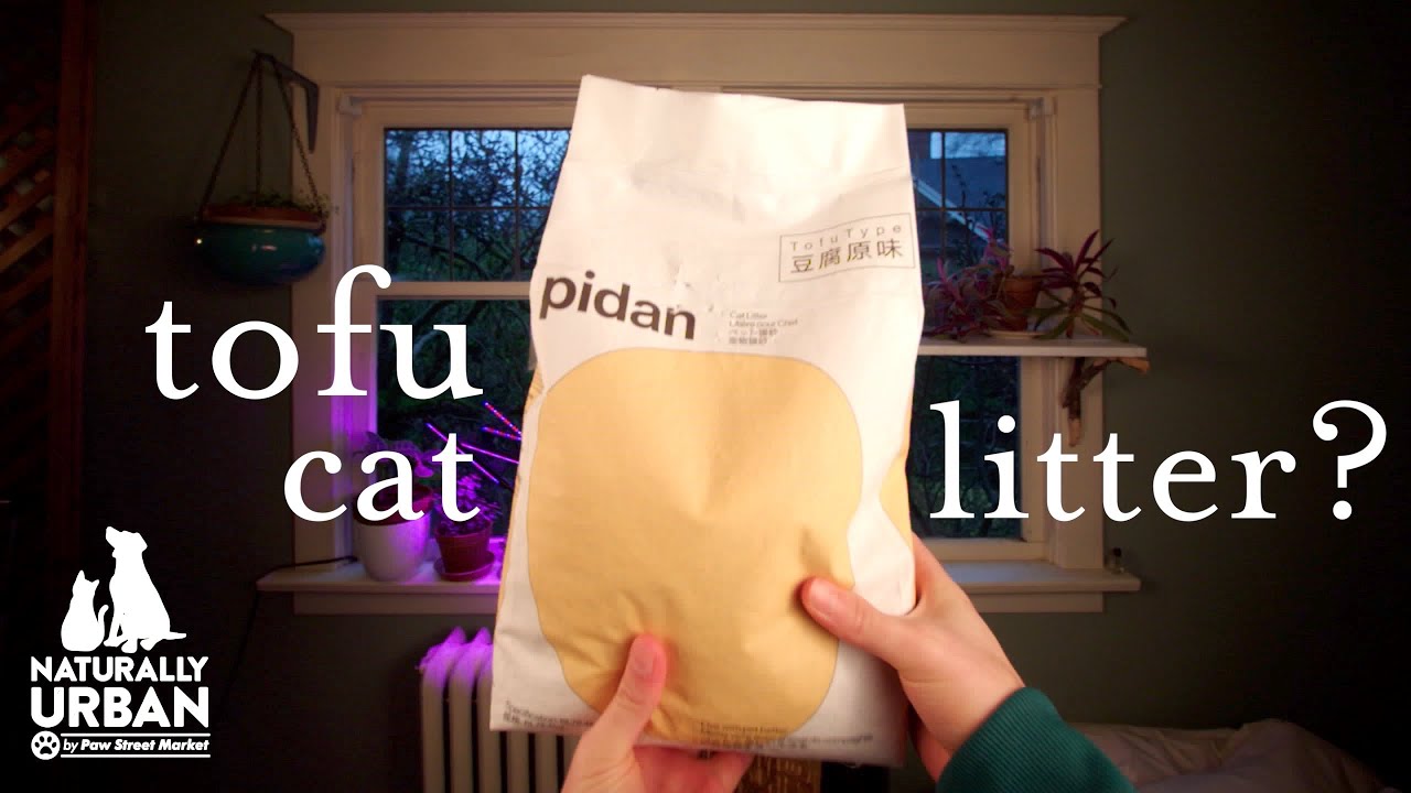Tofu Cat Litter Smells like Ice Cream?! - Review of Pidan Tofu Cat Litter