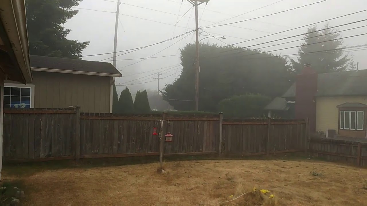Washington state smoke in Tacoma 😞