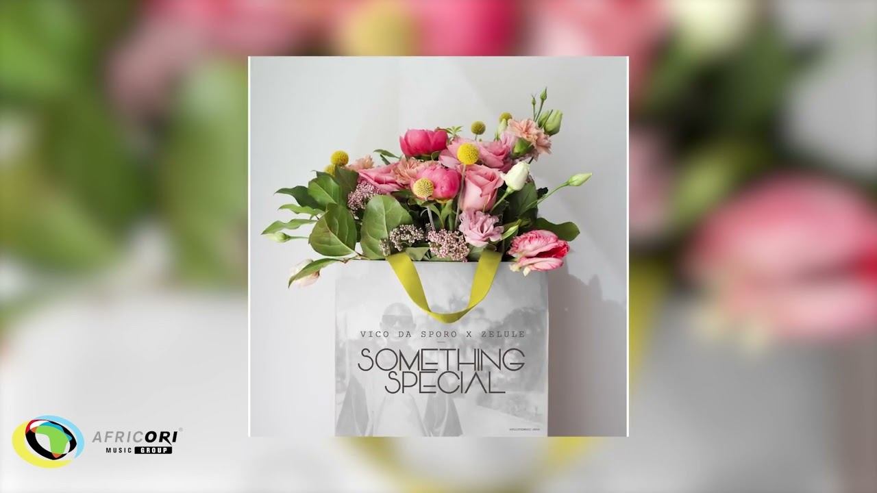 Vico Da Sporo & Zelule zn - Something Special (Official Audio)