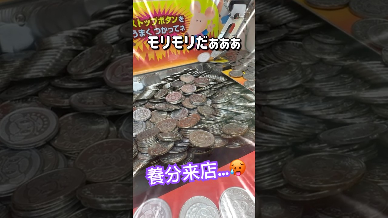 20代がやる事じゃないんよ