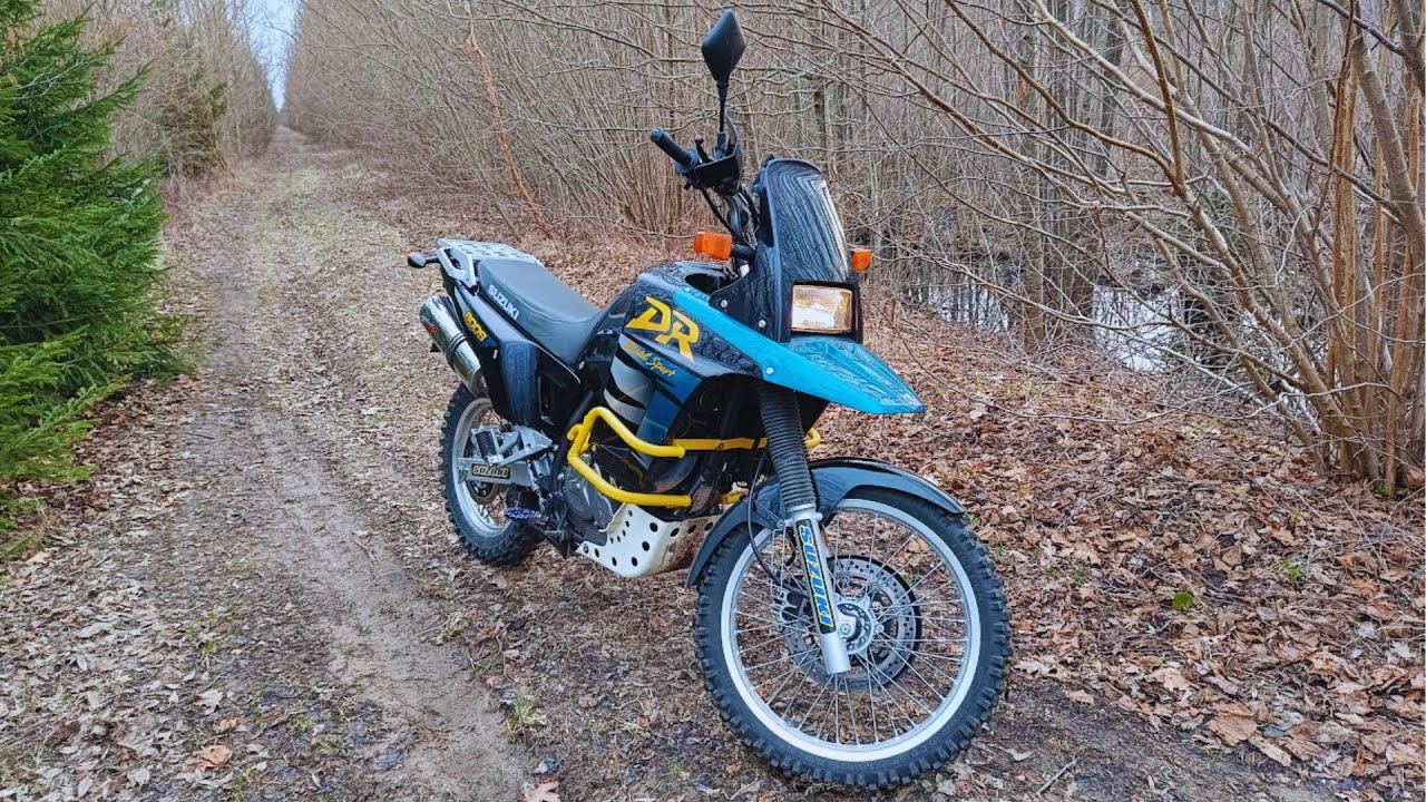 Motorcycle maintenance- Suzuki DR800S