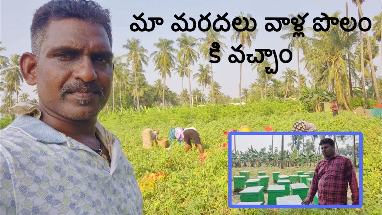 Maa maradhalu vaalla polam ki vachhamu 