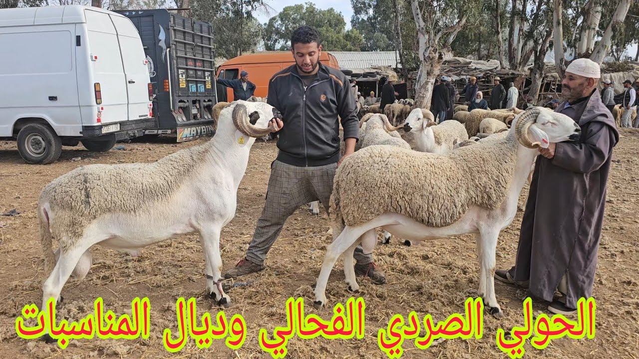 الله الله على الحولي💫 الفحالي وديال المناسبات🥇في سوق الخميس سلا🇲🇦 السهول 24\10\2024 📞مع الأثمنة