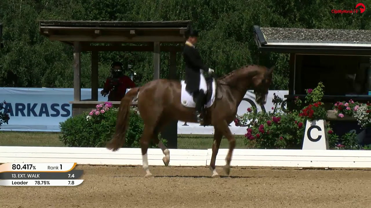 CDI4* Schindlhof Fritzens, 2019 - B06 1. Platz - Isabell Werth auf Bella Rose