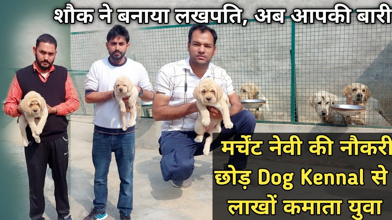 🐕 कुत्ते पालने के शौक ने बनाया लखपति👍मर्चेंट नेवी की नौकरी छोड़ आज Dog Farming से लाखों कमाता युवा