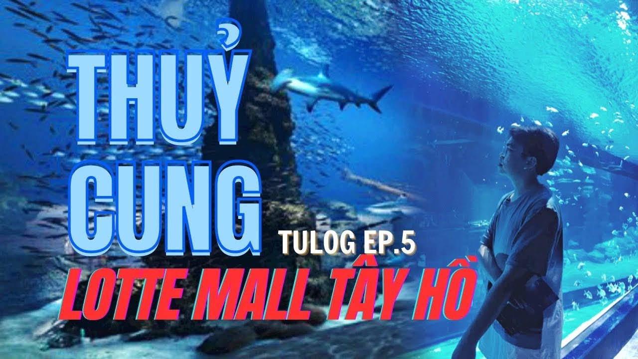 Có gì bên trong Thủy Cung tại Lotte Mall Tây Hồ? | tulog