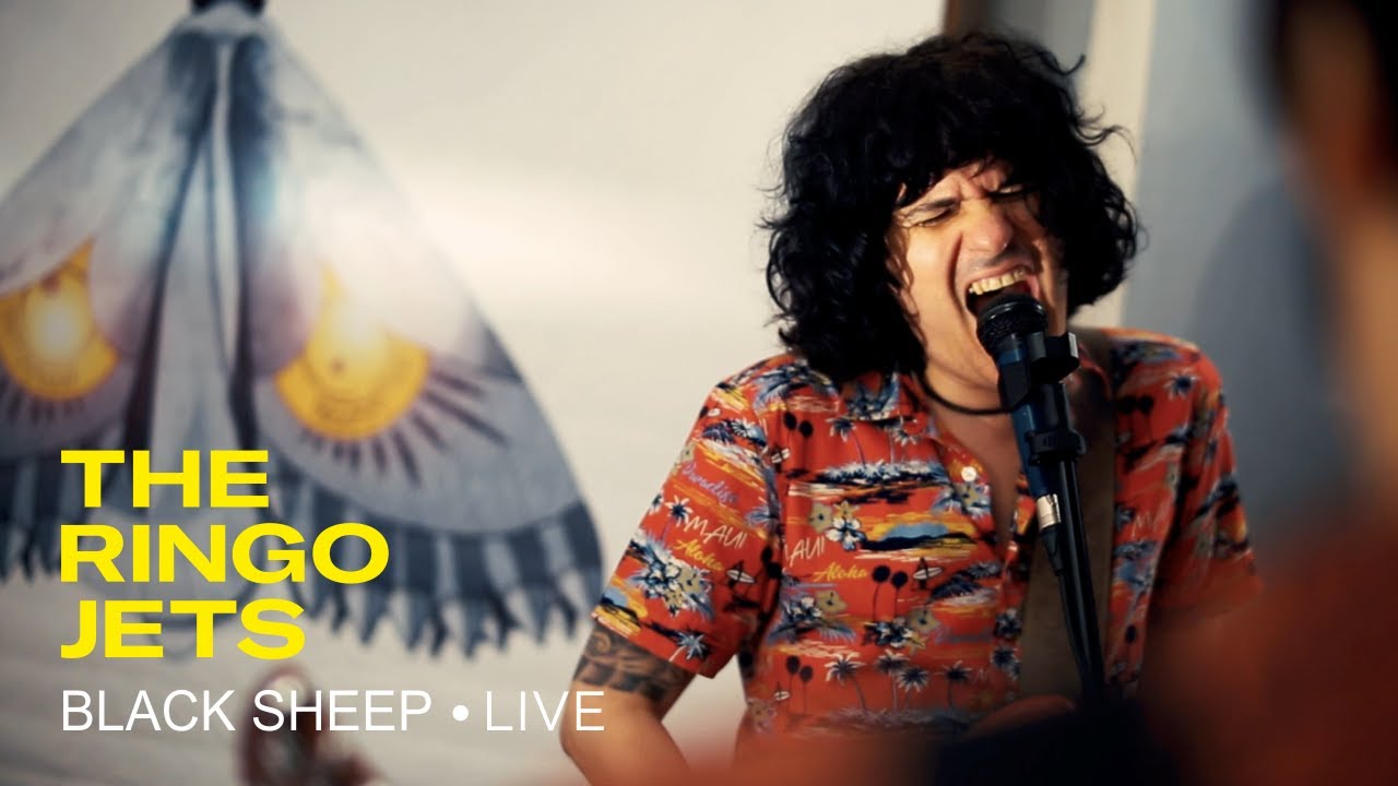 THE RINGO JETS - Black Sheep (Live Session)