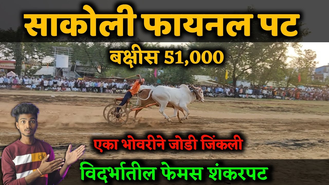 साकोली फायनल पट || Sakoli Final Pat ||Bailgada Sharyat Live || Balu Meshram