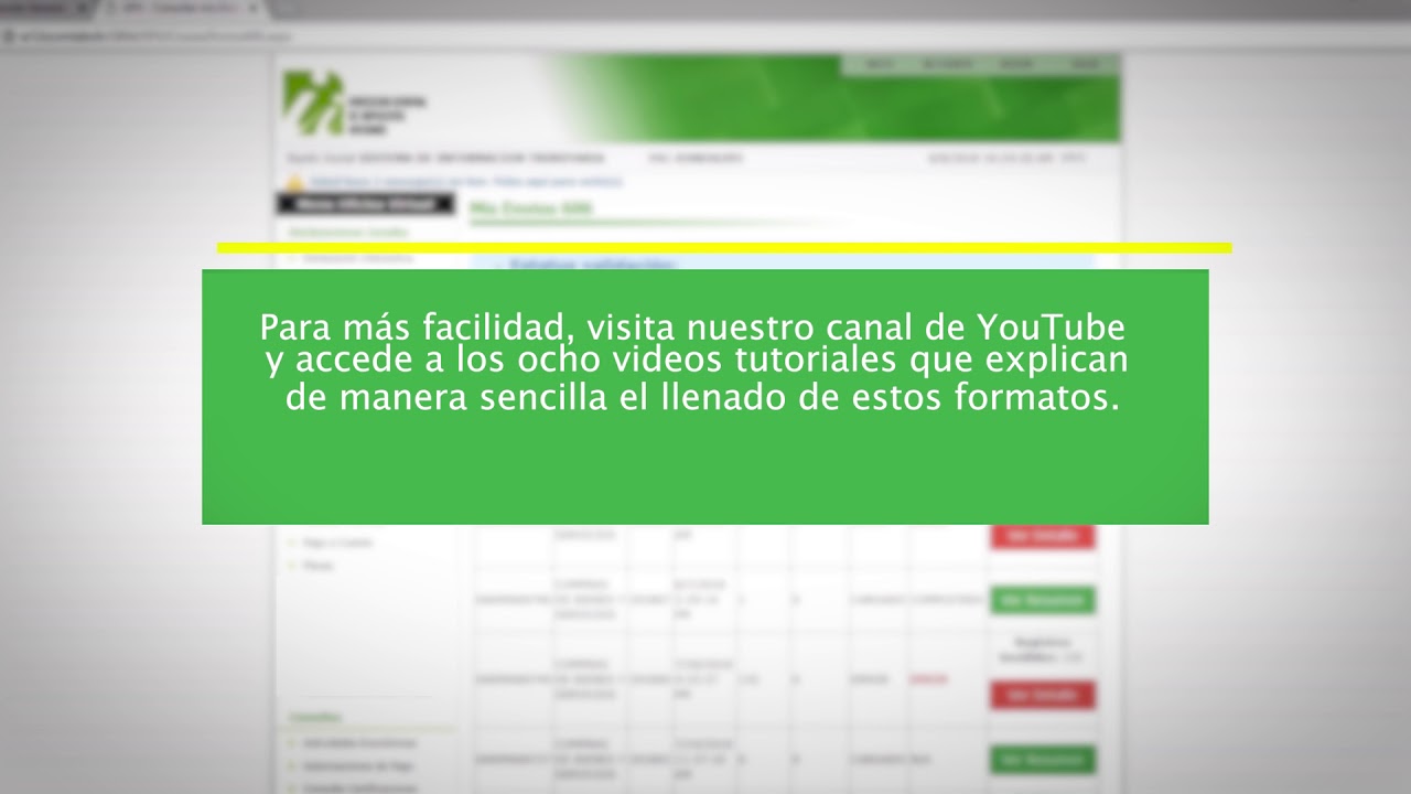 DGII - Formatos de envio