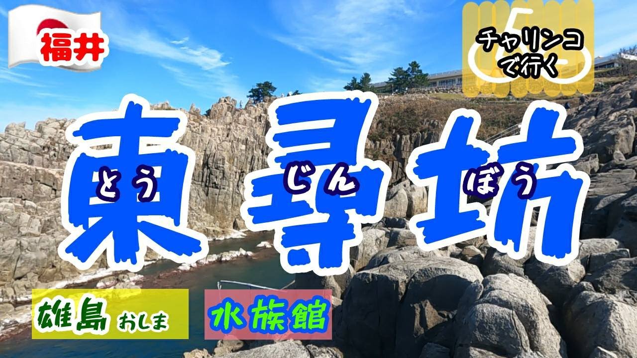 Trip53【東尋坊・雄島・越前松島水族館】福井県三国町の観光スポットと言えばココ！