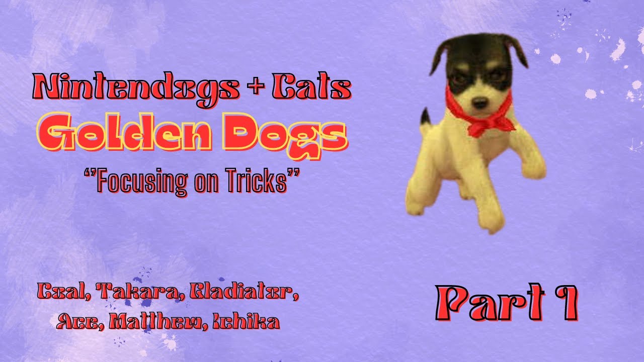 Focusing on Tricks | Golden Dogs  | Nintendogs + Cats | Episode #1