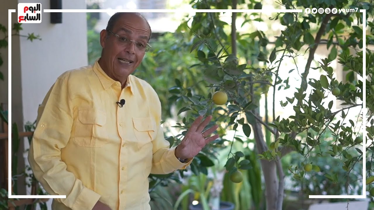 كل ما تريد معرفته عن النباتات الحمضية.. أفضل تربة تصلح لزراعتها وأنواعها