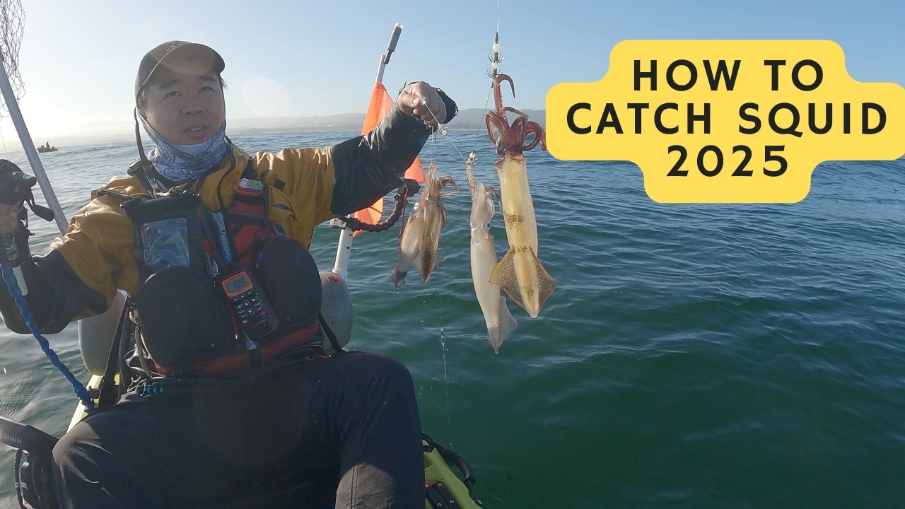 Squid & Rockfish Fishing | How to Identify Squid on Fish Finder 2025