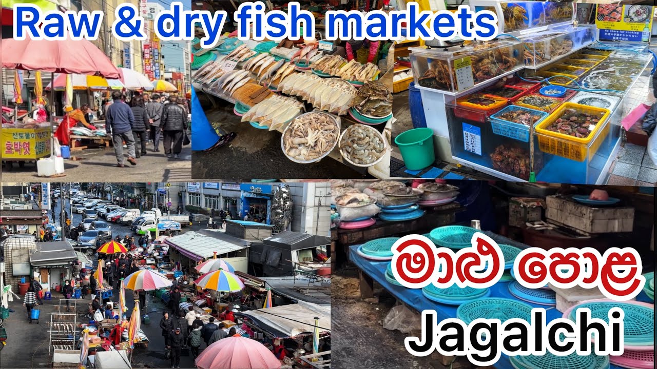 Jagalchi (raw&dry fish market) මාළු පොළ 1